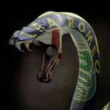 Viper